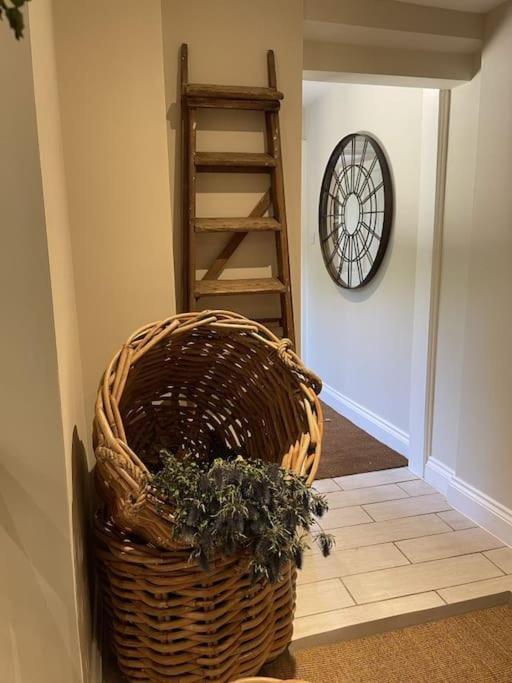 Holly Cottage, 2, Northbrook Park, Farnham-Up To 6 Adults Extérieur photo